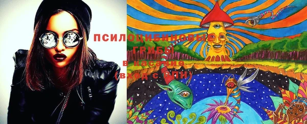 молекула духа Горняк