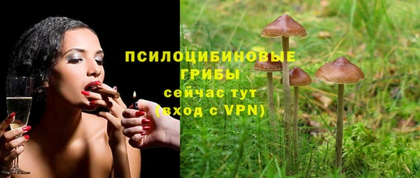 молекула духа Горняк
