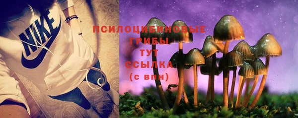 молекула духа Горняк